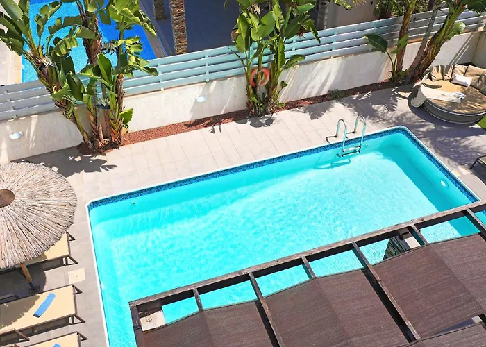 Anastasia - Fig Tree Bay Area 普罗塔拉斯