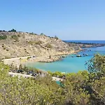 Anastasia - Fig Tree Bay Area *